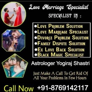 Love Problem Solution Astrologer In Hindi